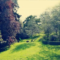 /album/gendron-alain/bigotiere-printemps-jpeg/